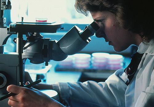 woman looking into microscope